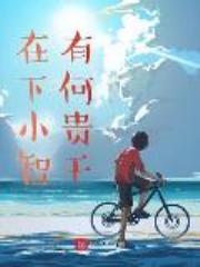 在下小智，有何贵干